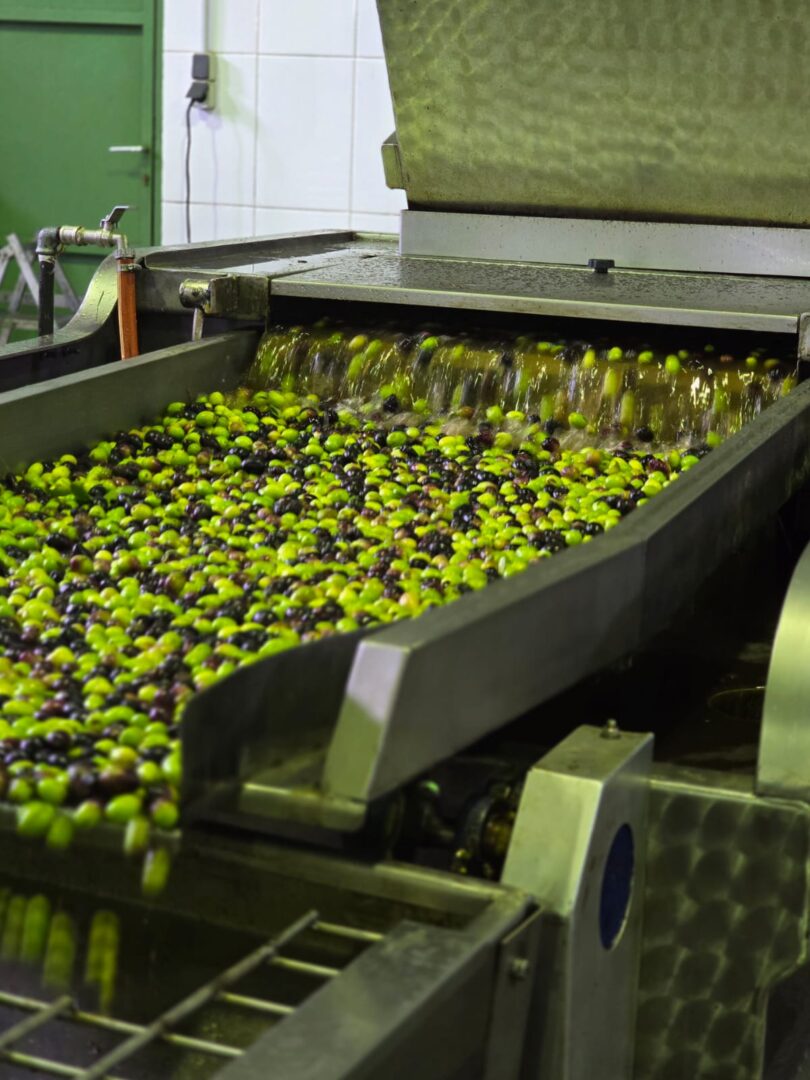 eurecaUTU-grcka-kulturoloske-aktivnosti (7)