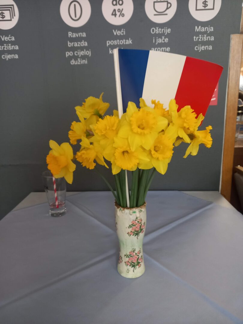 svjetski-dan-frankofonije (5)