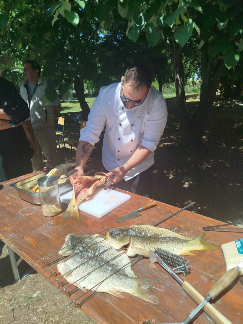 gastro-plamen (10)