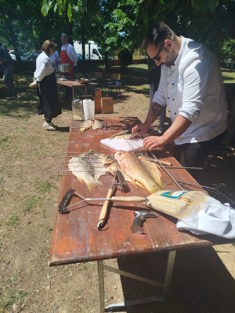gastro-plamen (11)