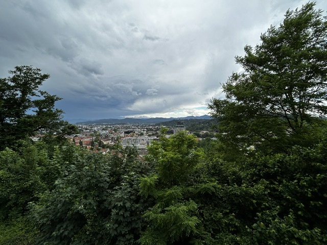 zag-utu (20)